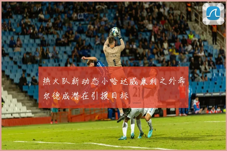 热火队新动态小哈达威康利之外希尔德成潜在引援目标